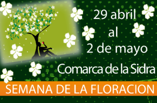 Semana floración del manzano en la Comarca de la Sidra (Asturias).