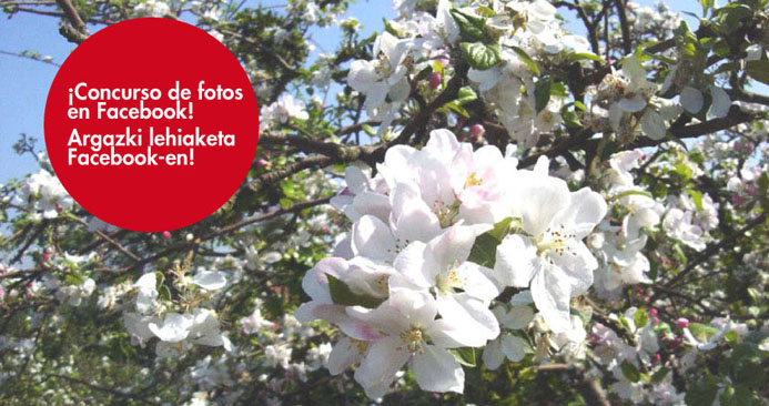 CONCURSO DE FOTOS “Manzanos en flor” en Facebook.