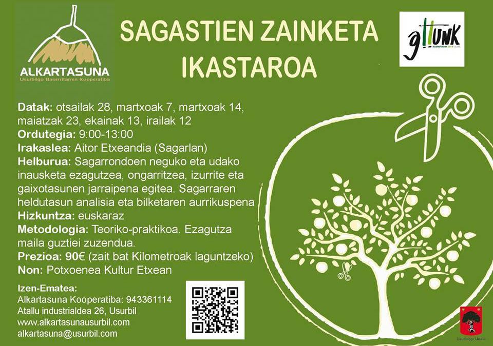 Curso sobre el cuidado de los manzanales en Usurbil.