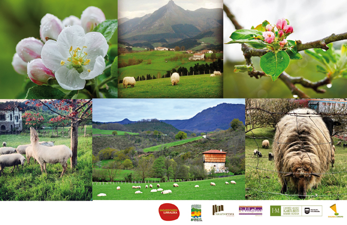 Concurso de fotos “Ovejas en los pastos y manzanos en flor” en Facebook.