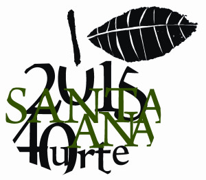 Santa Ana 2015 sin logo