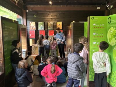 Schoolchildren tickets