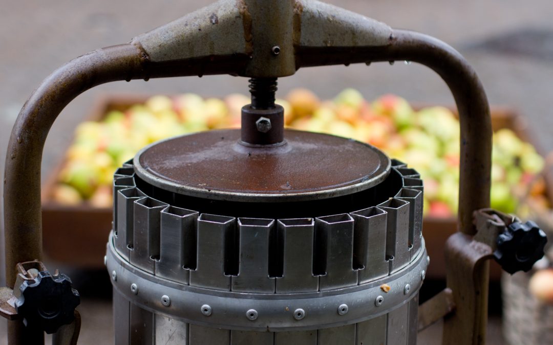Curso de elaboración de kefir de manzana
