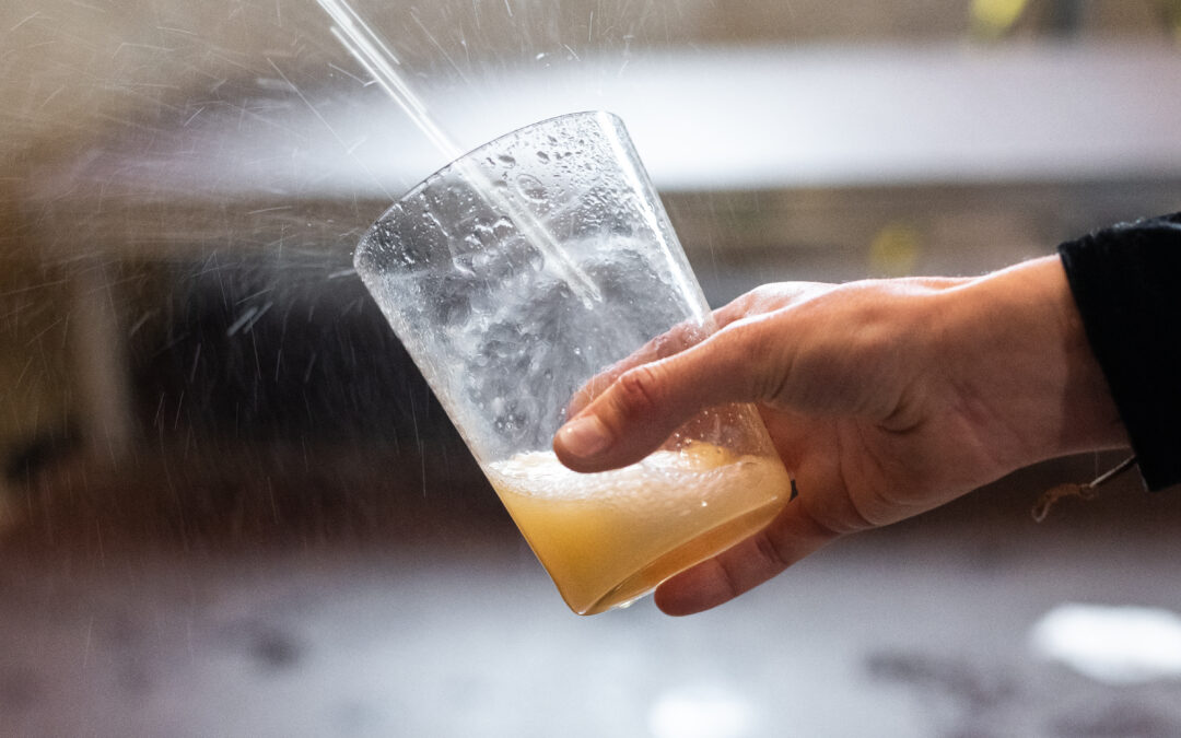 Opening of 2026 season, XXXIII. Sagardo Berriaren Eguna