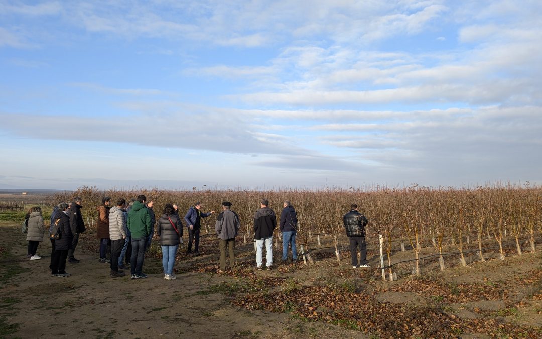 En 2022 se creó la Asociación Sagarrica para difundir la manzana de sidra de Navarra