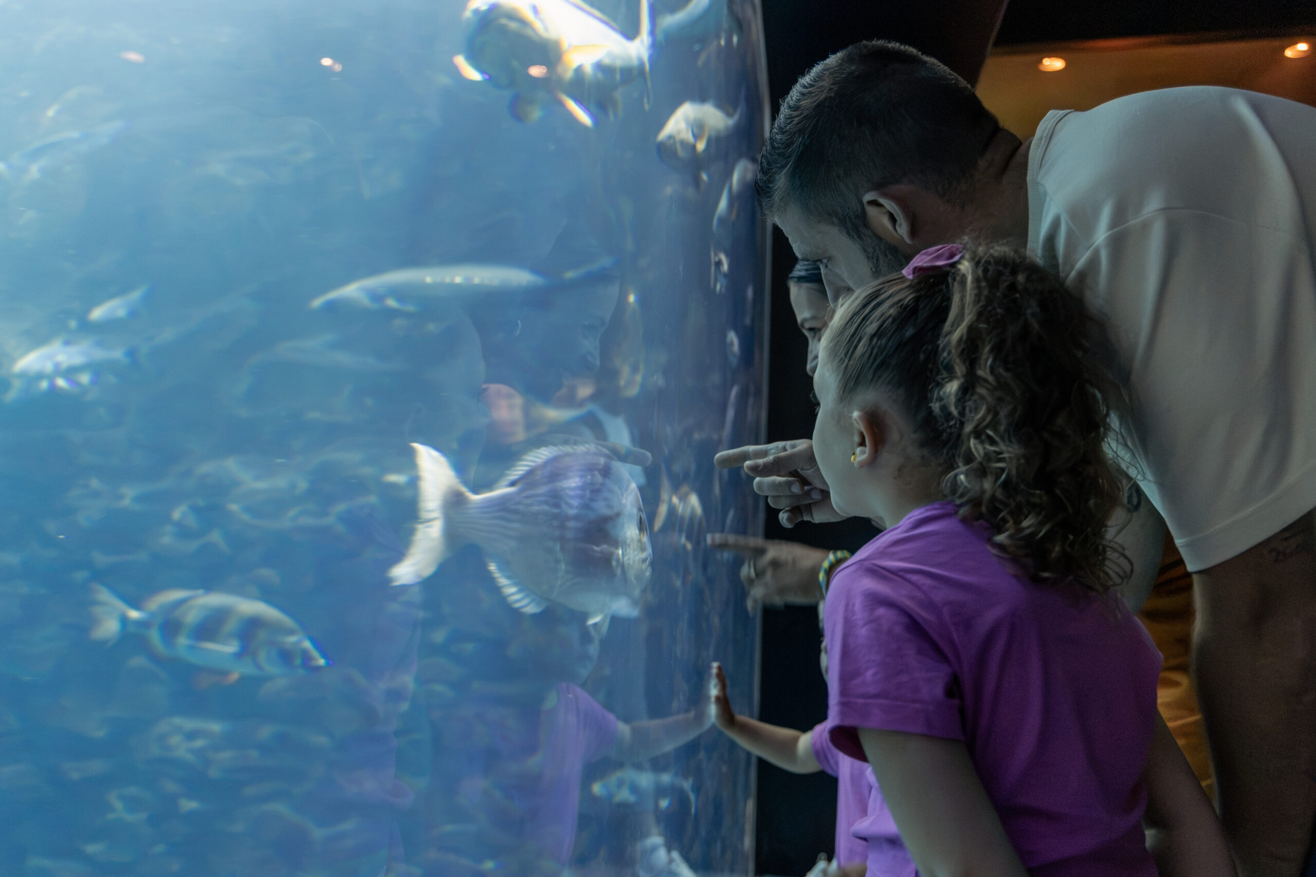 The cider and the sea: Aquarium Donostia, Sagardoetxea and cider house