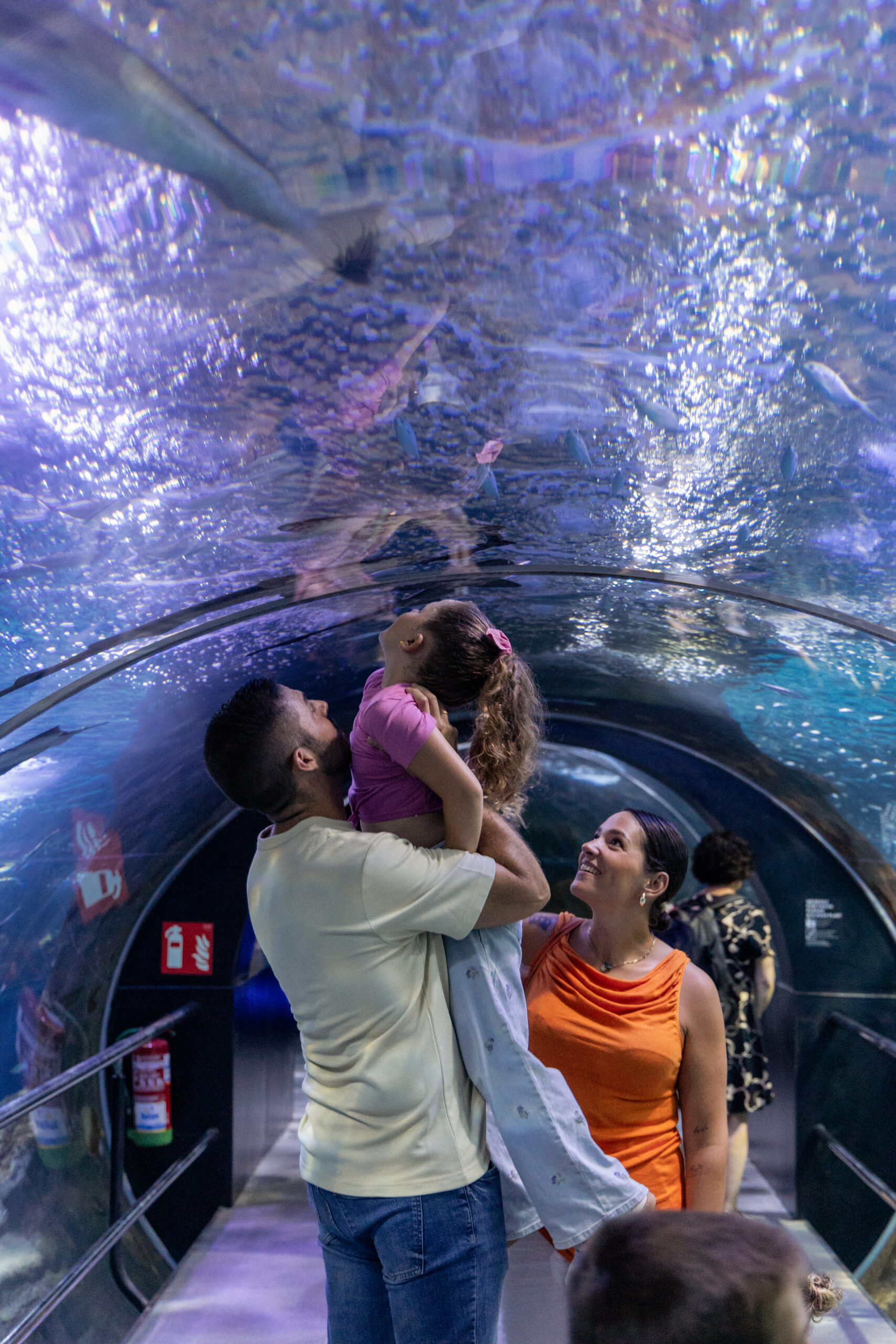 The cider and the sea: Aquarium Donostia, Sagardoetxea and cider house - Image 3
